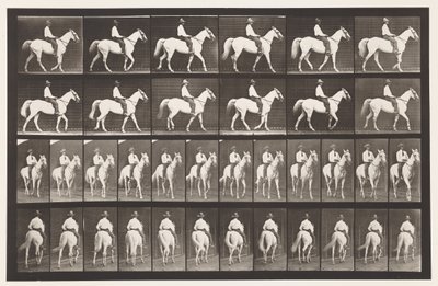 Tallrik 579.Gående; Sadel; White Horse Elberon, 1885 av Eadweard Muybridge