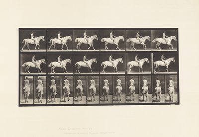 Tallrik 582. Gång;Sadel; Ryttare, 43, naken; Ljusgrå häst Smith av Eadweard Muybridge