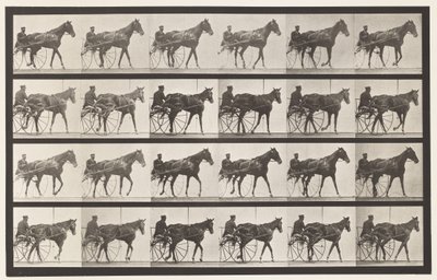 Tallrik 587.Gående; Sulky; Sorrel Mare Nellie Rose, 1885 av Eadweard Muybridge