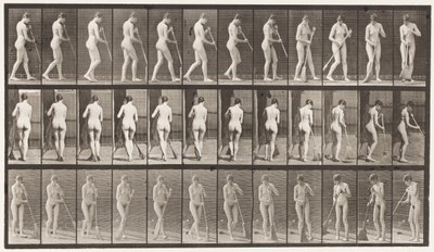 Tavla 58. Gå, vända sig och sopa golvet av Eadweard Muybridge