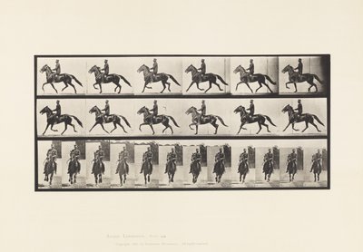 Plåt 593. Gungande (Pacing): Sadel; Brun häst Pronto av Eadweard Muybridge