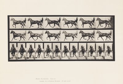 Tavla 595. Gungande (Pacing): Sulky; Brun häst Pronto av Eadweard Muybridge