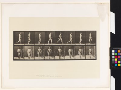 Plåt 5.Gå av Eadweard Muybridge