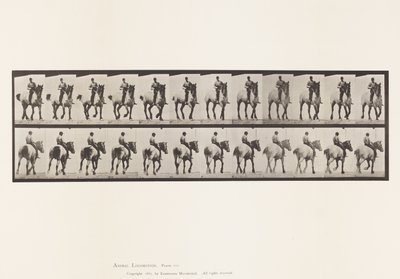 Tallrik 600. Trav; Barbacka; Mörkgrå Dusel av Eadweard Muybridge