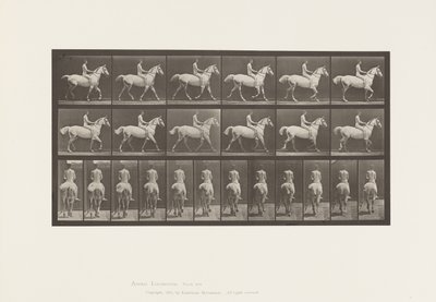 Tallrik 602.Trav;Barback; Ryttare, 43, naken; ljusgrå häst Smith, 1885 av Eadweard Muybridge