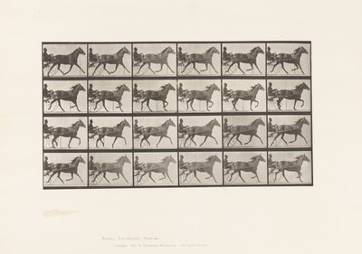 Tallrik 607. Trav; Sulky; Bay Mare, Lizzie M. av Eadweard Muybridge