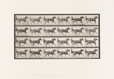 Tallrik 609. Trav; Sulky; Bay Mare, Lizzie M. av Eadweard Muybridge