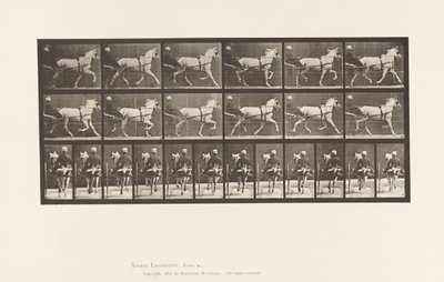 Tallrik 611. Trav; Sulky; Grey Mare, Katydid av Eadweard Muybridge