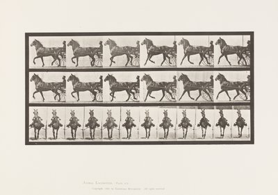 Tallrik 612. Trav; Sulky; Bay Horse, Dereumd av Eadweard Muybridge