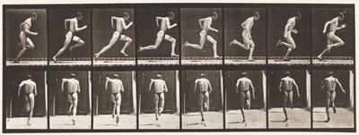Skylt 61. Springa i full fart (Ofullkomlig action, skor) av Eadweard Muybridge