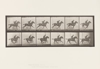Tallrik 624. Galopp; Sadel; Bay Horse Daisy av Eadweard Muybridge