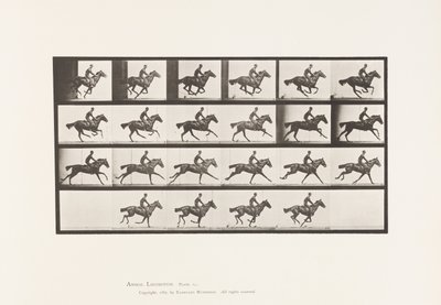 Tallrik 625. Galopp; Fullblod Bay Horse Bukett av Eadweard Muybridge