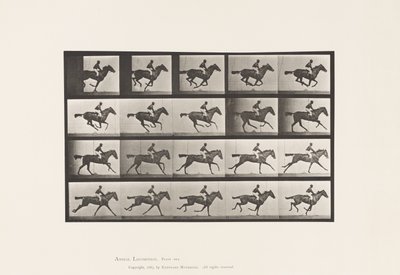 Tallrik 627. Galopp; Fullblods Bay Mare Annie G. av Eadweard Muybridge