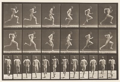 Plåt 62. Kör i full fart., 1872-1885 av Eadweard Muybridge