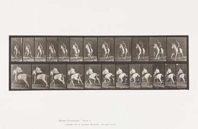 Tallrik 630. Galopp; Sadel; Grå sto Pandora av Eadweard Muybridge