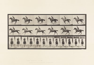 Tallrik 632. Galopp; Sadel; Fullblod Bay Horse Bukett av Eadweard Muybridge