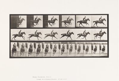 Tallrik 633. Galopp; Sadel; Fullblod Bay Horse Bukett av Eadweard Muybridge