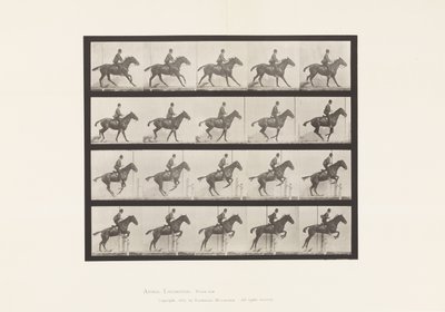 Plåt 636. Hoppa ett hinder; Sadel; Förbereder sig för språnget av Eadweard Muybridge