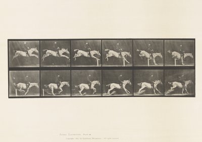 Plåt 641. Hoppa ett hinder; Sadel; Knacka över hinder och av Eadweard Muybridge
