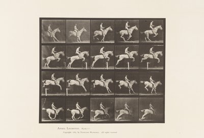 Tavla 642. Hoppa ett hinder; Sadel; Ryttare, 105, naken; Grå sto, 1885 av Eadweard Muybridge