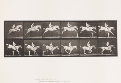 Platta 643. Hoppa ett hinder; Barbacka; Röjning och landning; av Eadweard Muybridge