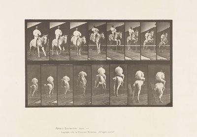 Plåt 644. Hoppa ett hinder; Sadel; Röjning och landning av Eadweard Muybridge