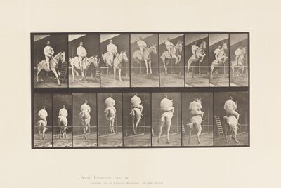 Platta 645. Hoppa ett hinder; Sadel; Röjning och landning av Eadweard Muybridge
