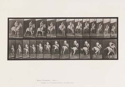 Platta 646. Hoppa ett hinder; Sadel; Ryttare, 105, naken;, 1885 av Eadweard Muybridge