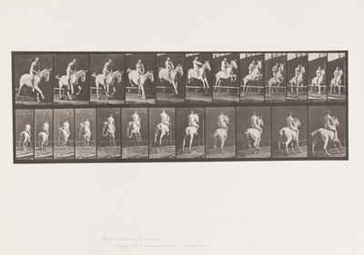 Plåt 647. Hoppa ett hinder; Barbacka; Ryttare av Eadweard Muybridge