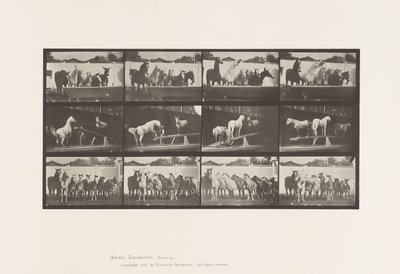 Tavla 651.A, Klockringning; B, Vippbräda; C, militärövning av Eadweard Muybridge
