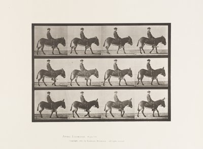 Tallrik 665. Ass; Gående; Barbacka; a Boy Riding, Jennie av Eadweard Muybridge