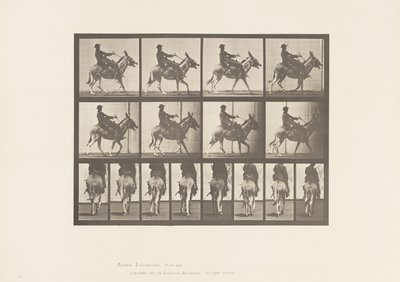 Tallrik 668. Ass; Ambling; Sadel; En pojke som rider, Zoo av Eadweard Muybridge
