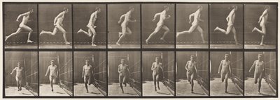 Plåt 67. Running, 1872-1885 av Eadweard Muybridge