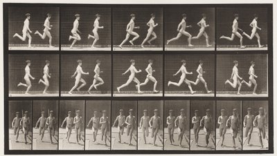 Skylt 69. Kör två modeller, 1872-1885 av Eadweard Muybridge