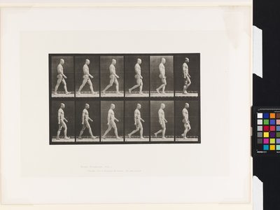 Plåt 6.Gå av Eadweard Muybridge