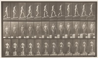 Plåt 74. Stigande lutning, vinkel 1 på 4 av Eadweard Muybridge