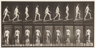 Plåt 75. Stigande lutning, vinkel 1 på 4, 1872-1885 av Eadweard Muybridge