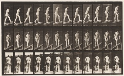 Plåt 76. Stigande lutning av Eadweard Muybridge