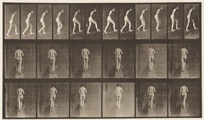 Plåt 79. Stigande lutning av Eadweard Muybridge