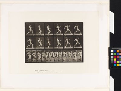 Tallrik 7.Gå av Eadweard Muybridge