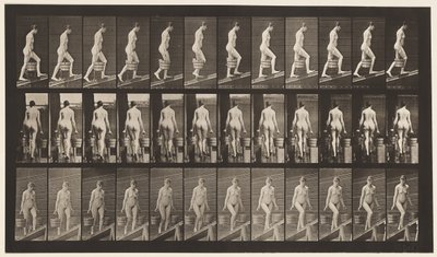 Plåt 81. Stigande lutning. av Eadweard Muybridge