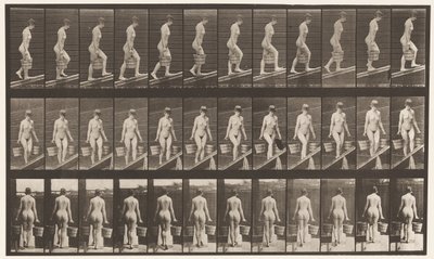 Tavla 82. Stigande lutning, hink med vatten i varje hand av Eadweard Muybridge
