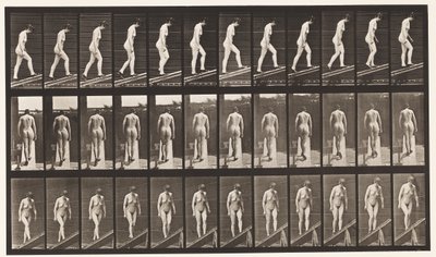 Plåt 85. Stigande lutning av Eadweard Muybridge