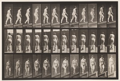 Plåt 86. Stigande lutning av Eadweard Muybridge