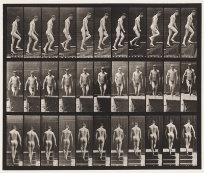 Plåt 88. Uppstigande trappor, 1872-1885 av Eadweard Muybridge