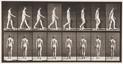 Plåt 8. Promenader av Eadweard Muybridge