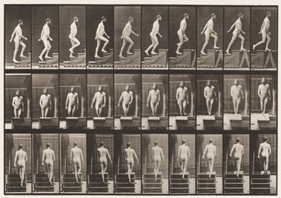 Tavla 90. Uppåtgående trappa av Eadweard Muybridge
