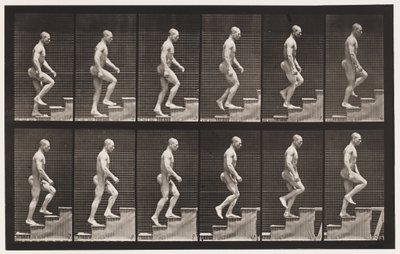 Tavla 91. Uppstigningstrappa av Eadweard Muybridge