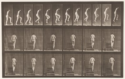 Tavla 93. Uppstigningstrappa av Eadweard Muybridge