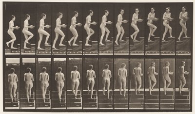 Tavla 94. Uppåtgående trappa ser sig omkring; Handfat i händerna av Eadweard Muybridge